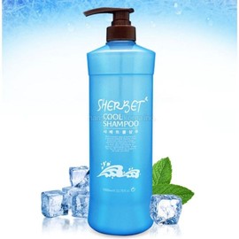 Daolmarket Scalp Boncosmetic Cooling Care Shampoo SNM Management Hair 1L