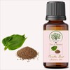 RADANYA Ayurveda RADANYA Ayurveda Perilla Seed Carrier Oil 100% Pure