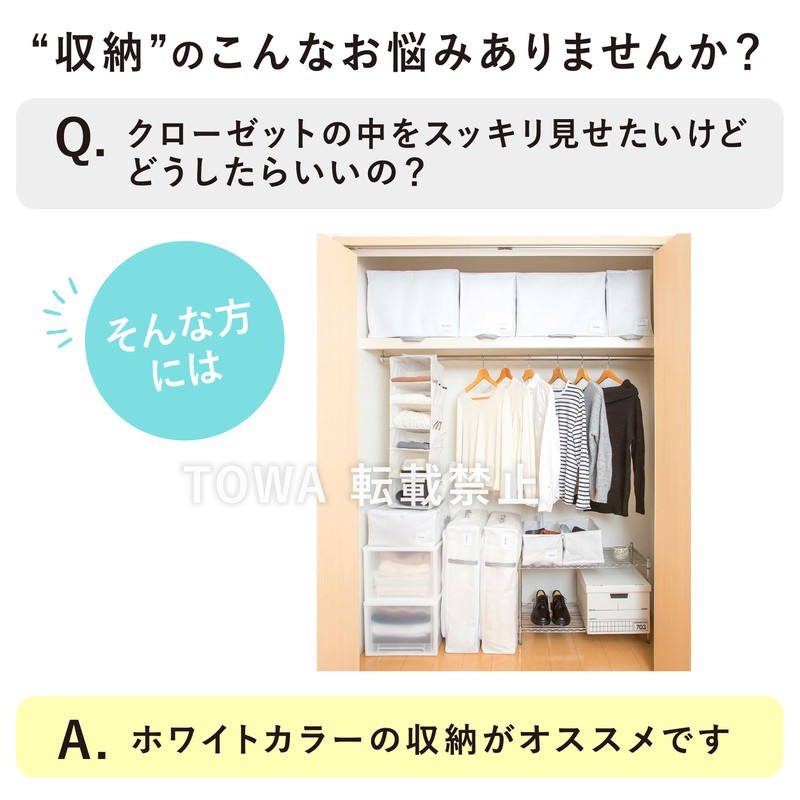 Towa Industries MSC 85691 Storage Bag, Gap Standing Storage, Closet,