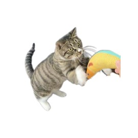 FXGJDeng Cat Toys，3 PCS Cat Toys Assortments, Catnip Toys for Cats, Cat Chew Plush Toys, Interactive Cat Kicker Toys for Indoor for Exercise for All Breeds