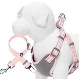 Blueberry Pet Essentials Pastel Color Reflective Matching Dog Harness Vest and Seatbelt Set in Baby Pink, Adjustable Harness with Durable Safety Car Vehicle Seatbelt for Medium Dogs