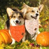 JarThenaAMCS 2Pcs Fall Reversible Dog Bandana Pumpkin Polka Dot Autumn