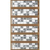 Thomas & Anca Club Supplies Ltd 600 Bingo Tickets -