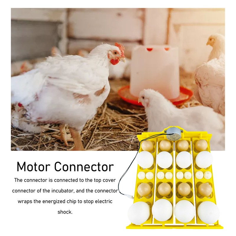 Egg Turning Tray Multifunction Automatic Egg Turner Incubator Tray for