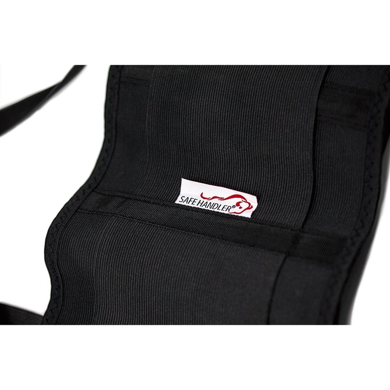 SAFE HANDLER Lifting Support Weight Belt -Black | Lower Back