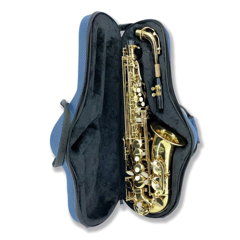 YoungMonic Black Alto Sax Case Saxophone Parts Light Hand Strap