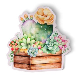 Squiddy Watercolor Succulents - Vinyl Sticker Decal for Phone, Laptop, Water Bottle (2" Tall)