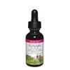 ECLECTIC INSTITUTE I Bright 1.0 fl oz (29.5 ml)