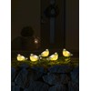 Konstsmide LED Acrylic Birds, Set of 5, Clear, 24 V,