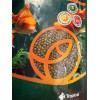 2 Bolsas Alimento Spirulina Goldfish Sunny 90 Grs (sff-08)