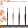 Watercolor Brushes Professional - 4 Pcs Extended Needle Point Brushes