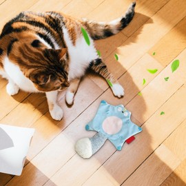 Chew Interactive Toy for Cat - Cat Chewing Doll with Flying Squirrel Shape,Multi Functional Kitten Teething Toy for Small Large Kitten Exercise