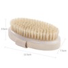 OioTuyi Body Massage Brush - Dry Brush with Natural Bristles