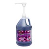 Concession Express Pure Cane Sugar Snow Cone Syrup w/pump (Grape)