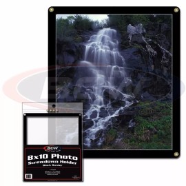 BCW NEW (3 PK) BCW 8 x 10 Screwdown Photo Holder