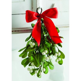 tag Christmas Hanging Mistletoe
