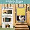 Automatic Chicken Coop Door, Solar Powered Automatic Chicken Door with