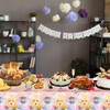 DOOGA Tylor Singer Birthday Plates And Napkins Party Supplies -