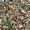 2LBS Horticultural Succulent Rocks Bonsai Mix Succulent Potting Mix Lava