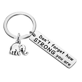 yaozeio Elephant Keychain Inspirational Encouragement Gifts Don't Forget How Strong You Are Uplifting Gift Keychain for Best Friend Family Animal Lover Birthday Christmas Gifts