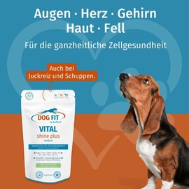 DOG FIT by PreThis Vital Shine Plus for Dogs I Eyes, Heart, Brain, Shiny Coat, Healthy Skin (Medium 10-25 kg)