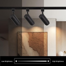 LED Track Lighting Heads Dimmable 24W 5CCT 2700K/3000k/3500k/4000k/5000k,Single Circu H Track Lighting Heads,Zoomable Beam 15° to 60° Ideal for Accent Art and Task Lighting,(3 Pack - Black-5CCT)