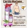 2 Extracto Cardo Mariano, 30ml / Depurador De Higado Shelo