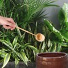 Natural hishaku water ladle Bamboo Japanese Water Ladle Handmade Long