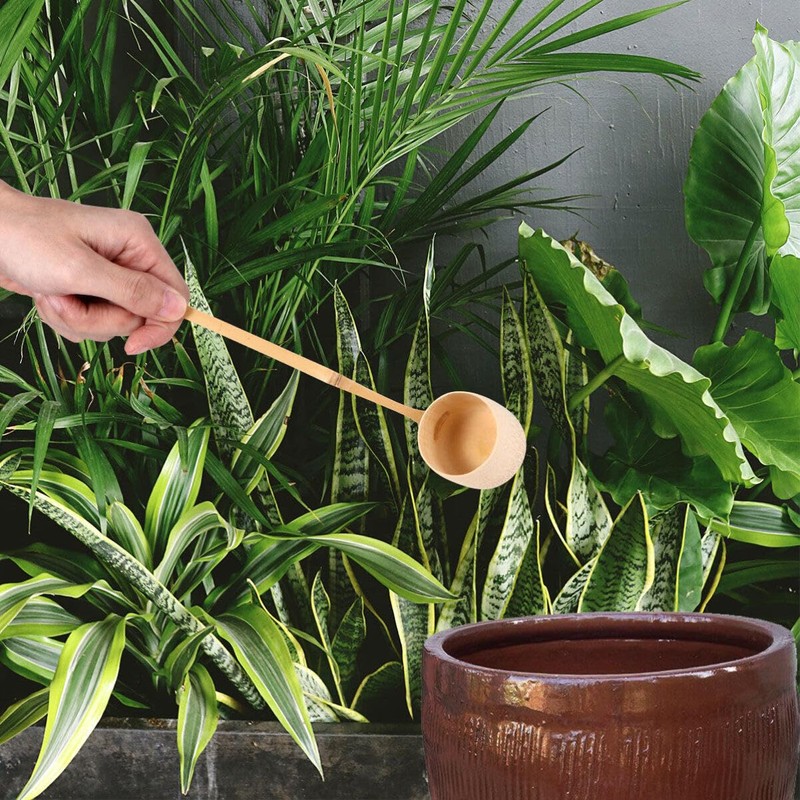 Natural hishaku water ladle Bamboo Japanese Water Ladle Handmade Long