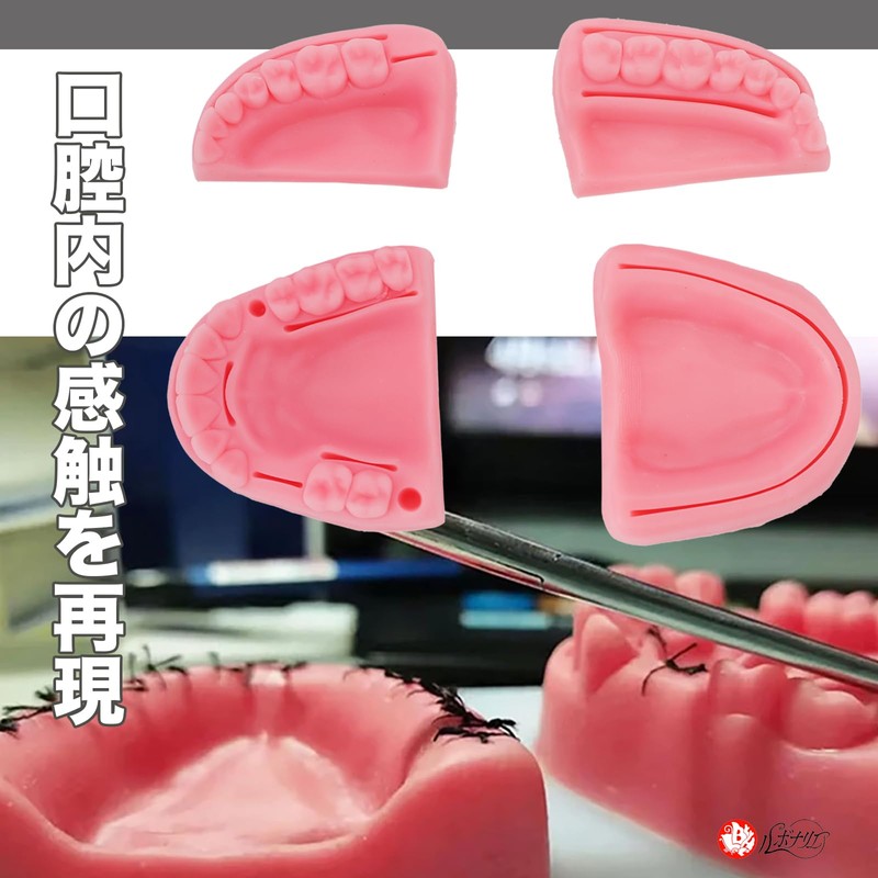Rubonarie Suture Practice Kit Dental Suture Practice Kit Oral Suture