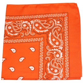 Daily Basic Pack of 10 Polyester 22 x 22 Paisley Printed Bandanas (Orange)