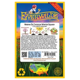 Everwilde Farms - 10 Marina de Chioggia Winter Squash Seeds - Gold Vault Seed Packet