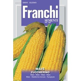 Italian Heirloom Corn -