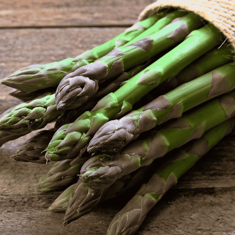 25 'Millennium' Asparagus Plants - Bare Root Asparagus Crowns -