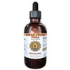 Yucca (Yucca glauca) Liquid Extract 2 fl.oz