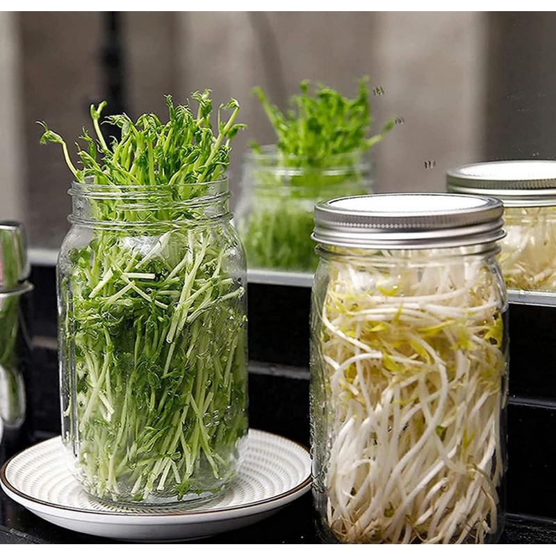 Sprouting Jar Kit 16oz Wide Mouth Mason Jars with Stainless