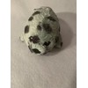 Weighted stuffed animal, white seal or walrus plush with 2-3