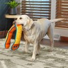 Outward Hound Durablez X-Large Nubby Snake Stuffing-Free Squeaky Plush Dog