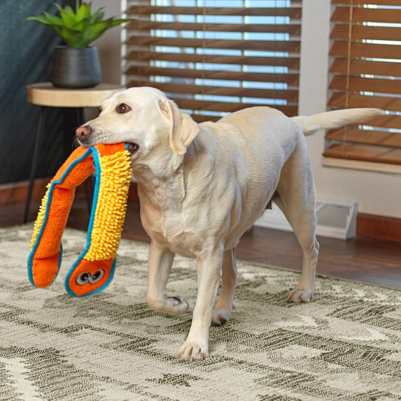 Outward Hound Durablez X-Large Nubby Snake Stuffing-Free Squeaky Plush Dog