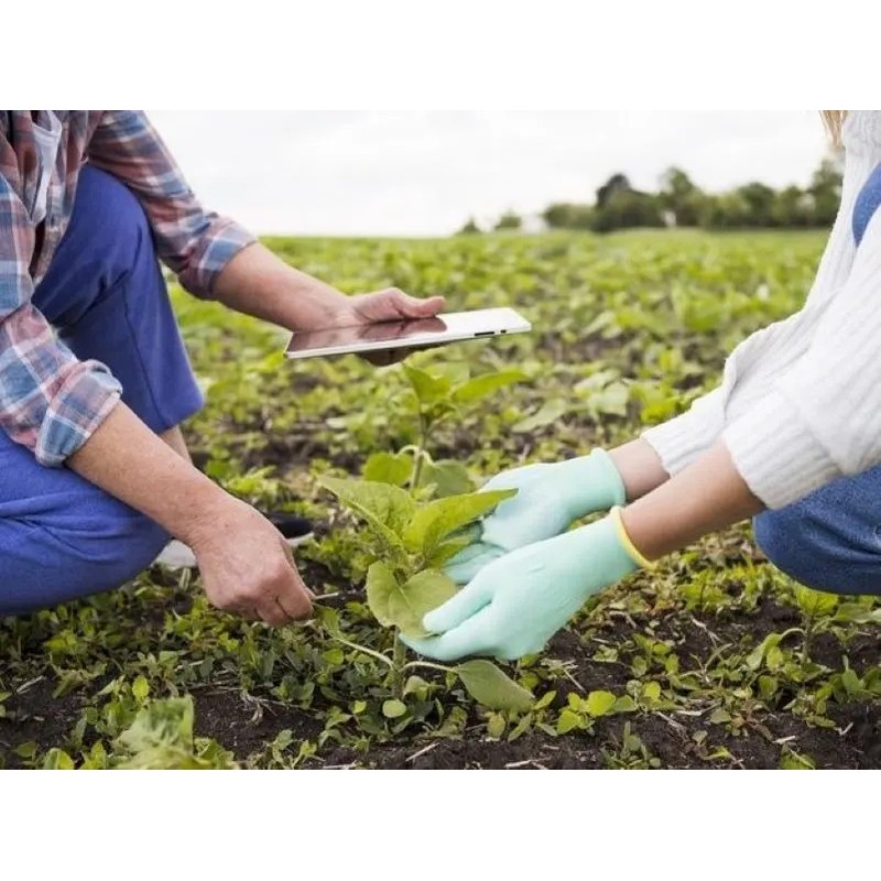 Basfoliar Amino Sl Aminoácidos Con Npk Compo Expert 1 L