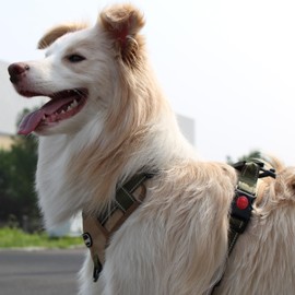 LUVMOJO Tactical Dog Harness and Leash Set for Extra Large Dogs, No Pull Heavy Duty Pet Vest Collar with Handle, Reflective Walking Harnesses with Leashes, Anti Escape Chest Collars for Puppy XL