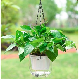 Meicynhoger Set of 2 Vintage Hanging Flower Pots, 16.5 cm Balcony Planters - Transparent Self-Watering Pot with Hooks for Indoor Outdoor, Table, Wall, Patio and Transparent Jardi