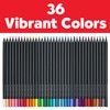 Faber-Castell 116436 Blackwood Colouring Pencils, Black Edition, 36-Piece Case