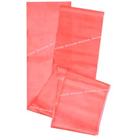 Thera-Band Exercise Band in Zip Bag - 2.5 m, red, 2.5 m
