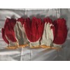 BBH New 5 Pair BBH Gardening Gloves Latex Foam Coating