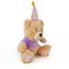 Rosewood Chubblez Bonnie Birthday Bear Plush Dog Toy, Gift for