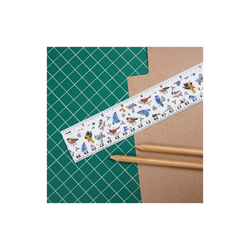 Northeastern Birds Pattern 12 Inch Standard and Metric Plastic Ruler