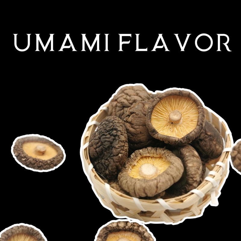 Orsky Dried Shiitake Mushrooms, Dried Mushrooms for Cooking, Quick Rehydration,