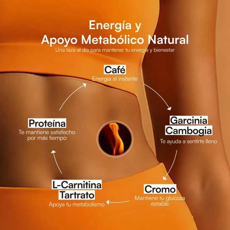 Zesty Metabólica Protein Coffee Café Arábica 100% Puro Cafe Latte