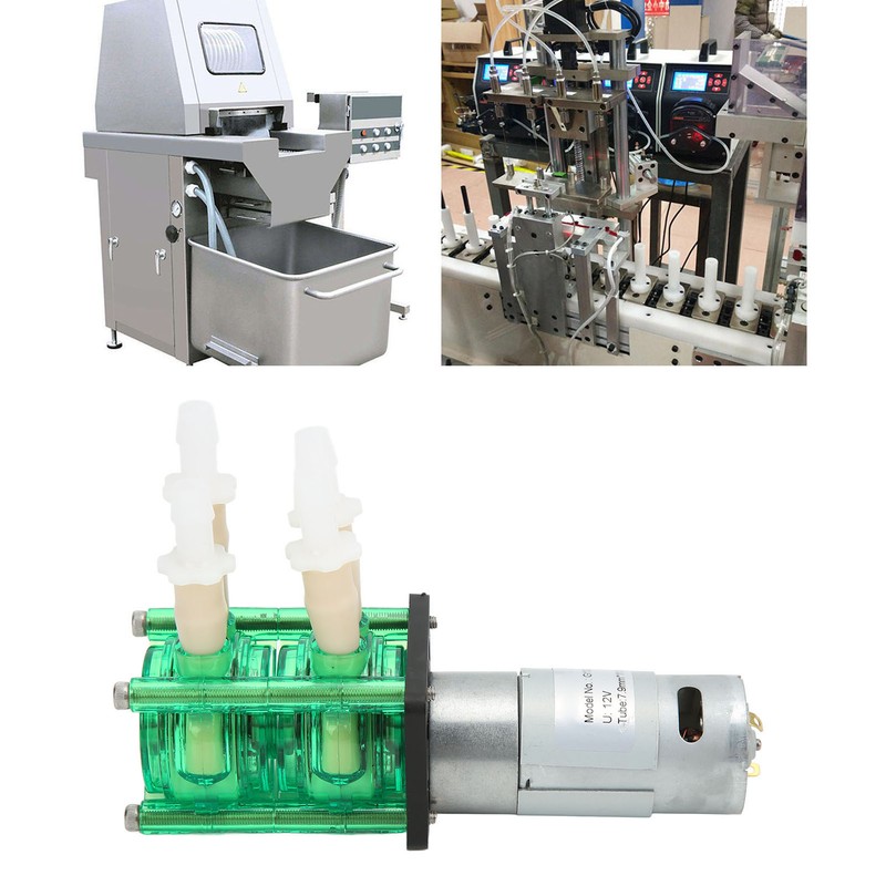 Dual Head High Flow Corrosion Resistant Peristaltic Pump Liquid Dosing